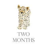 Baby Month Cards
