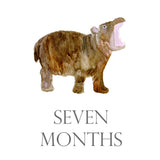 Baby Month Cards