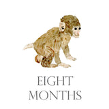 Baby Month Cards