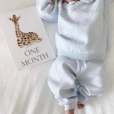 Baby Month Cards