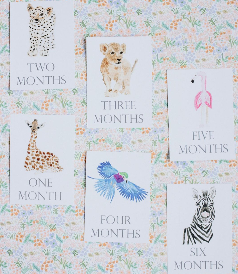Baby Month Cards